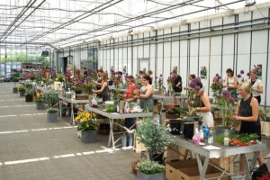 000 (Benutzerdefiniert)