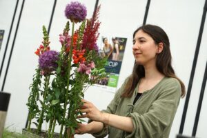 019 (Benutzerdefiniert)