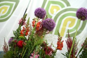 023 (Benutzerdefiniert)