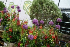 026 (Benutzerdefiniert)