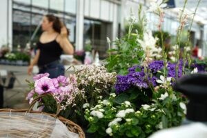 055 (Benutzerdefiniert)