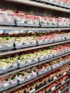 WhatsApp Image 2025-11-07 at 09.12.53 (13)