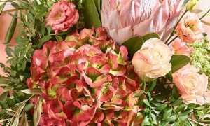 384380_banner-floristik