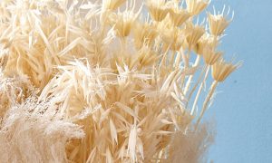 587861_banner-natumaterialien