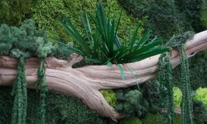 DSC09538 (Benutzerdefiniert)