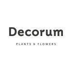 Decorum: Premium-Pflanzen und -Blumen aus den Niederlanden mit hoher Qualität und nachhaltiger Produktion